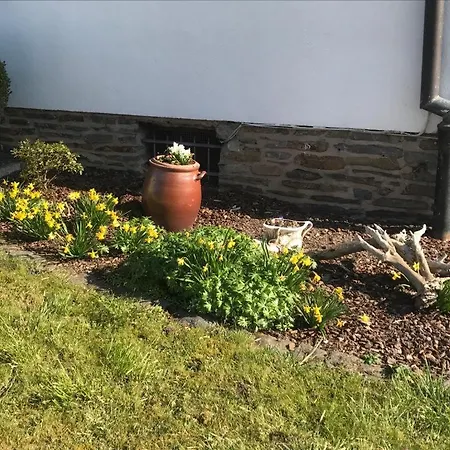 Appartement Sonnen - Terrasse