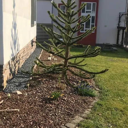Sonnen - Terrasse Apartment Bernkastel-Kues