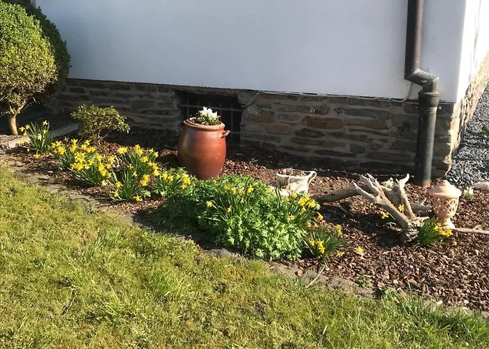 Daire Sonnen - Terrasse