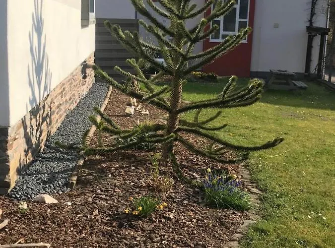 Sonnen - Terrasse Daire Bernkastel-Kues