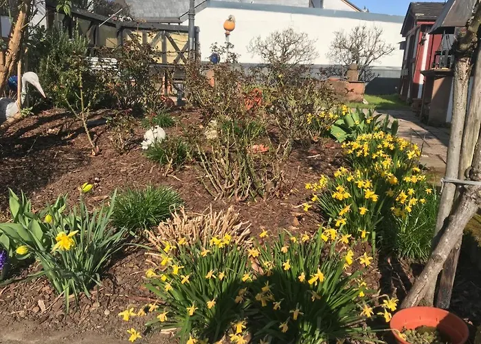 Sonnen - Terrasse * Bernkastel-Kues